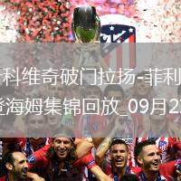 德甲-武什科維奇破門拉揚(yáng)-菲利普建功漢堡2-1海登海姆