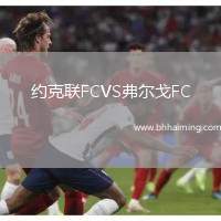 約克聯(lián)FCVS弗爾戈FC