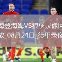 08月24日德甲第1輪海登海姆vs沃爾夫斯堡全場(chǎng)錄像