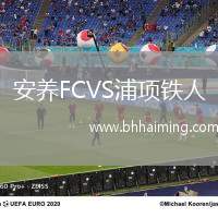 安養(yǎng)FCVS浦項(xiàng)鐵人