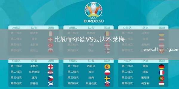 比勒菲爾德VS云達不萊梅