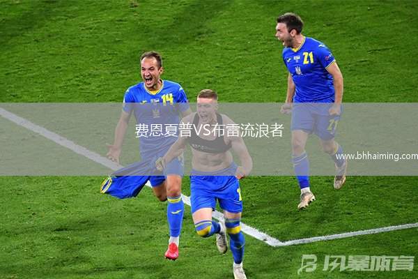 費恩夏普VS布雷流浪者