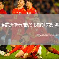 埃奇沃斯老鷹VS韋斯頓勞動(dòng)熊