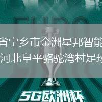 湖南省寧鄉(xiāng)市金洲星邦智能足球隊VS河北阜平駱駝灣村足球隊