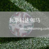 瓦斯科達(dá)伽馬(POR)VS阿爾維卡足球俱樂部B隊(duì)
