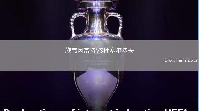 施韋因富特VS杜塞爾多夫