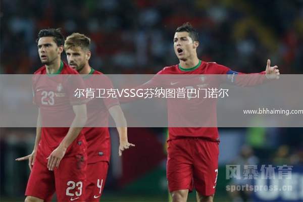 爾肯衛(wèi)克VSSG芬納圖普巴門諾爾