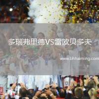 多瑙弗里德VS雷歐貝多夫