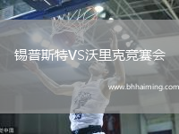 錫普斯特VS沃里克競賽會