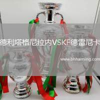 德利塔格尼拉內(nèi)VSKF德雷尼卡