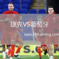 捷克VS葡萄牙