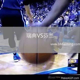 瑞典VS芬蘭