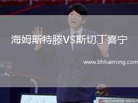 海姆斯特滕VS斯切丁喜寧