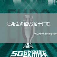 法弗舍姆鎮(zhèn)VS哈士汀聯(lián)