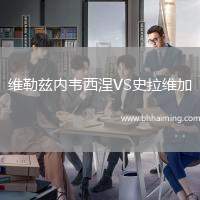 維勒茲內(nèi)韋西涅VS史拉維加