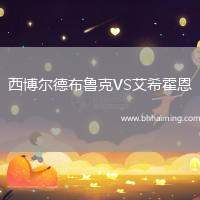 西博爾德布魯克VS艾?；舳? title=