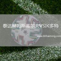 泰達(dá)赫姆斯高爾夫VSIK多特