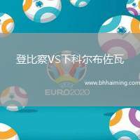 登比察VS下科爾布佐瓦