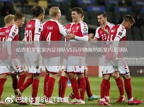 哈恩帕萊索室內(nèi)足球隊VS瓦爾德佩納斯室內(nèi)足球隊