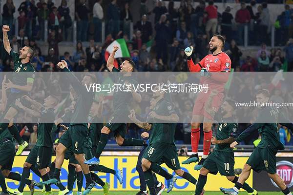 VfB馬爾堡VSFC埃德斯海姆