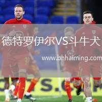 德特羅伊爾VS斗牛犬