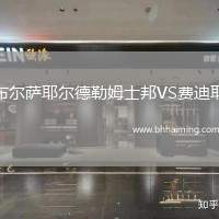 布爾薩耶爾德勒姆士邦VS費(fèi)迪耶