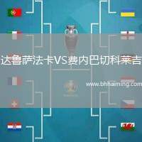 達(dá)魯薩法卡VS費(fèi)內(nèi)巴切科萊吉