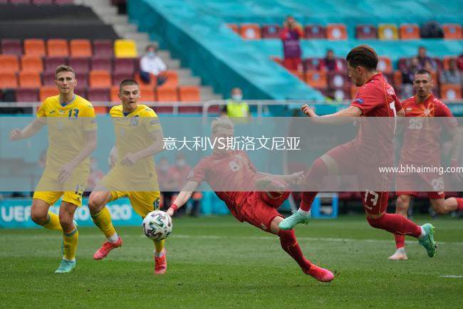 意大利VS斯洛文尼亞