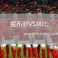 霍布羅VS林比