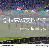 舒拉克VS艾拉華特