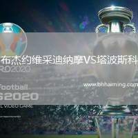 布杰約維采迪納摩VS塔波斯科
