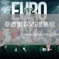 桑德豪森VS巴林根