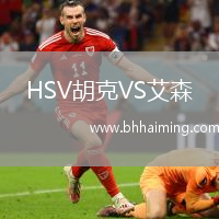 HSV胡克VS艾森