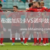 布雷加尼卡VS諾華茲