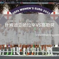 什肯迪亞哈拉辛VS高勒莫