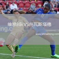 維京B隊(duì)VS托瓦斯塔德