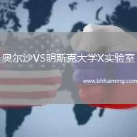 奧爾沙VS明斯克大學(xué)X實(shí)驗(yàn)室