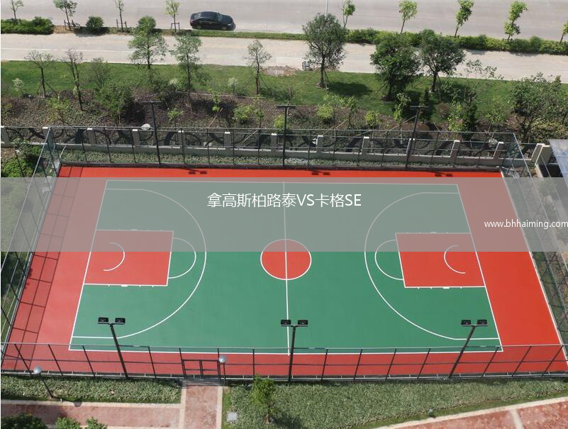 拿高斯柏路泰VS卡格SE