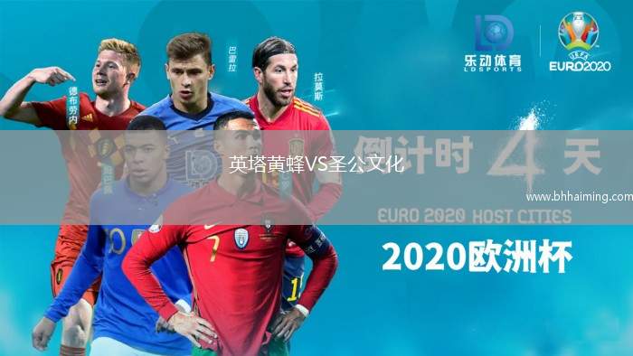 英塔黃蜂VS圣公文化