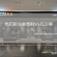 格尼斯坦奧格利VS瓦爾蒂