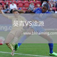 葵青VS淦源