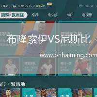 布隆索伊VS尼斯比