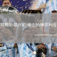 特賴斯基興VS維也納維多利亞