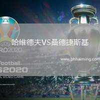 哈維德夫VS桑德捷斯基