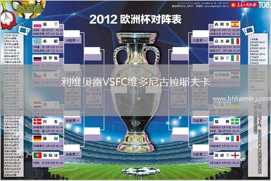 利維貝雷VSFC維多尼古拉耶夫卡