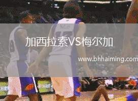 加西拉索VS梅爾加