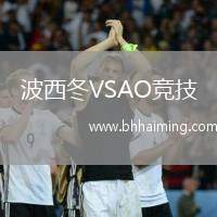 波西冬VSAO競技
