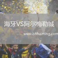 海牙VS阿爾梅勒城