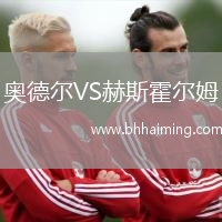 奧德爾VS赫斯霍爾姆