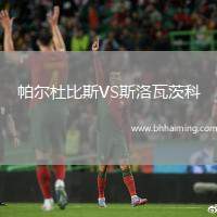 帕爾杜比斯VS斯洛瓦茨科